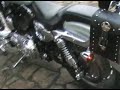 Sportster cold start