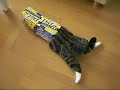 Maru, o gato - Refrigerante Maru, o gato - Refrigerante