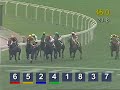 國美短途錦標 - 1200米 - 賽馬冠軍: 蓮華生輝亞軍: 燦惑季軍: 青蝠王「蓮華生輝」首次夥拍鄭雨滇，角逐國美短途錦標（香港二級賽1200米）大熱掄元，取得服役以來第十場勝利。
