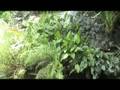 Enya Travel (Chokchai's Farms)