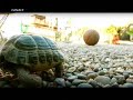 Ricky Rubio, la joven promesa del baloncesto español (II)