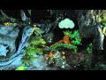 Lego Harry Potter: Trailer di lancio