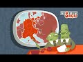 History-Show - Folge 4: Heiliges Röm. Reich Deutscher Nation History-Show - Folge 4: Heiliges Röm. Reich Deutscher Nation