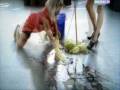 videos de Michael Mind feat. Earth Band -  Blindet by the lite