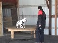 Screwy Louie\