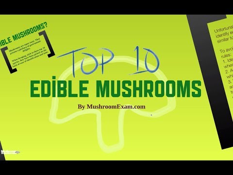 how to know edible mushrooms