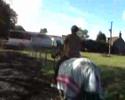 An easy way to bring lots of rugs up frm field