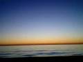 videos de sarasota