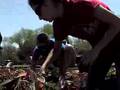 Arbor Day keeps Texas Tech green... and flowery