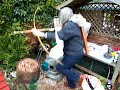 Longbow Oz - Master Archer & Beaver Hunter Longbow Oz - Master Archer & Beaver Hunter