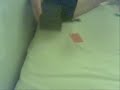 flying card  new trick 