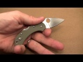 Spyderco G10 Dragonfly Review