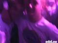 videos de SDD: 8th November
