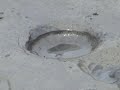 erupci-n-del-volcan-chaiten-.html