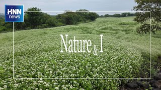 제주 와흘메밀마을에서