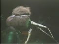 Randy California - I Got A Line On You - Glastonbury 1982