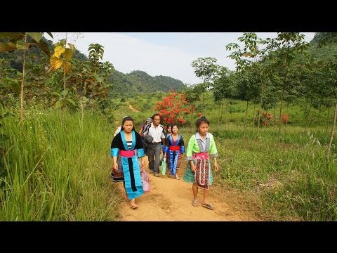 hmoob - This is 3 hours hiking to LoungPraBang, Tad-KoungSi WaterFall. Must see, if you want to explore beautiful landscape. Daim VDO no yog kuv yuav coj nej nrog Pe...