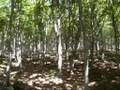Un Tholos visto dall' interno Parco Nazionale Majella