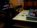 romska muzika 2008 romska muzika 2008