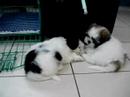 boy and girl