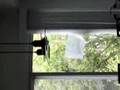 Stupid Bird