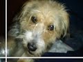 Chetes | Que me Maten