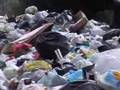 monnezza ad aversa - spazzy compie 50 giorni
