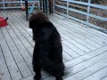 Keiko et Sophie