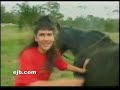good horseeee good horseeee