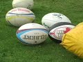 rugby sports