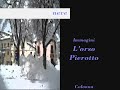 Neve