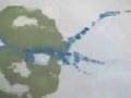3 歲小畫家