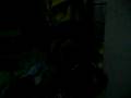 videos de Alexia Gonzales 11-22-2008