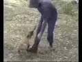 Narcotic searches with 11 week old puppy PART 1 Narcotic searches with 11 week old puppy PART 1