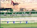 馬王冤家路窄香港冠軍暨遮打盃 (沙田1800米) 18/05/1980 (奪錦, 祿怡)「祿怡」戰績: 輕取首屆沙田錦標一九七八年十月七日，沙田馬場開幕，第一屆沙田錦標（第一班1600米）亦在當天舉行。隸屬吳志林馬房的「祿怡」，在美籍騎師夏達胯下，以一個馬位輕取「勇冠三軍」，勝出沙田馬場首項錦標賽事。此外，「祿怡」還擁有兩個「第一」：本地首匹三屆馬王（七八、七九及八一年）及首匹贏得一百萬元獎金（累積獎金達1,080,367元）之馬。「祿怡」先後由吳志林、佐治摩亞訓練，合共贏得十五場頭馬，勝出的大賽多不勝數，包括董事盃、兩屆香港金盃以及三屆香港冠軍暨遮打盃（七八、七九以及八一年）。這匹一代馬王已於一九九五年逝世，牠的全副骨骼標本現陳列於香港賽馬博物館，供人參觀及緬懷牠的風采。