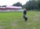 Apport trening Apport trening