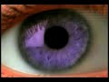martial law 2008 NWO doomday 2012 fema camps