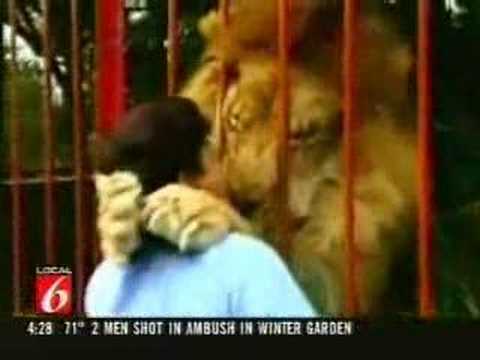 kaplan lion