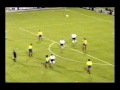 escorpion rene iguita escorpion rene iguita