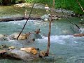 water mill water mill