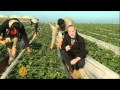 Israeli blockade limits Gaza farm export