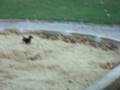 videos de Alfred und Luni Part 5