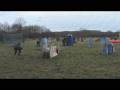 videos de Tournoi loge-Pomblin