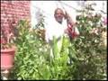 Wedi Gebru-Great Song