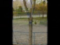 erwtas limni.wmv