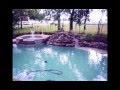 videos de Liquid Dreams Pools