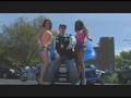 DJ Papito Red - Shake It