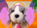 ZhuZhu Puppies Are Here! Commercial