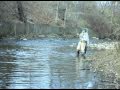 Big Brown trout fly fishing