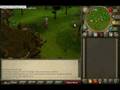 videos de Woodcutting: Best place for Magics and Yews